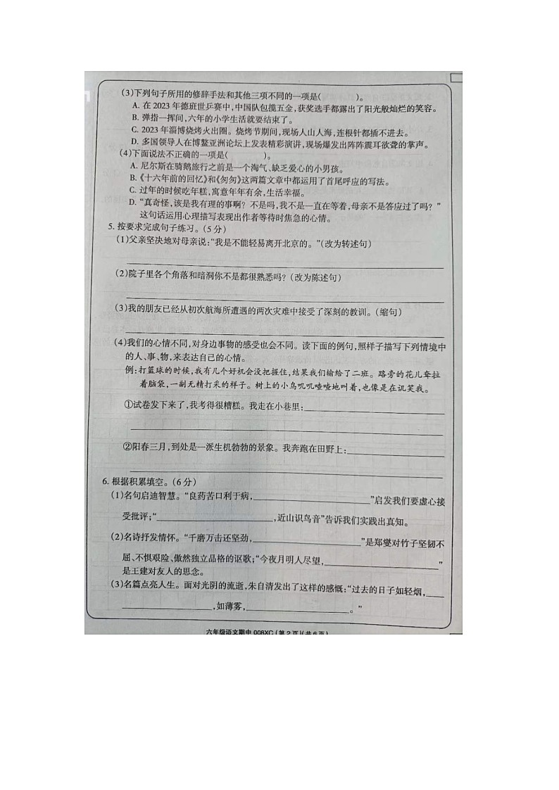 河南省周口市项城市2023-2024学年六年级下学期4月期中语文试题02
