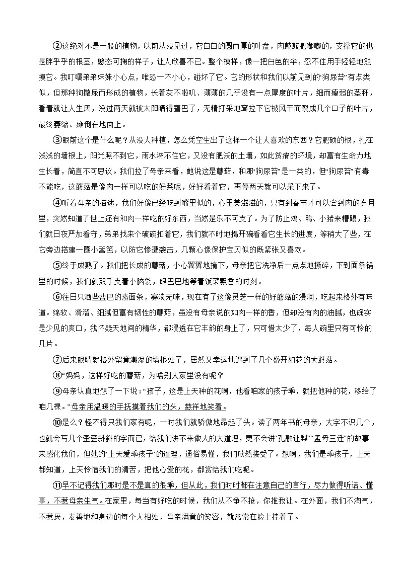 广西壮族自治区南宁地区2023-2024学年小升初语文模拟测试卷03