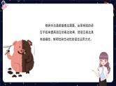 阅读技法七：常用修辞方法的作用课件