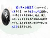 6 骑鹅旅行记（节选） 课件 人教部编版六年级语文下册
