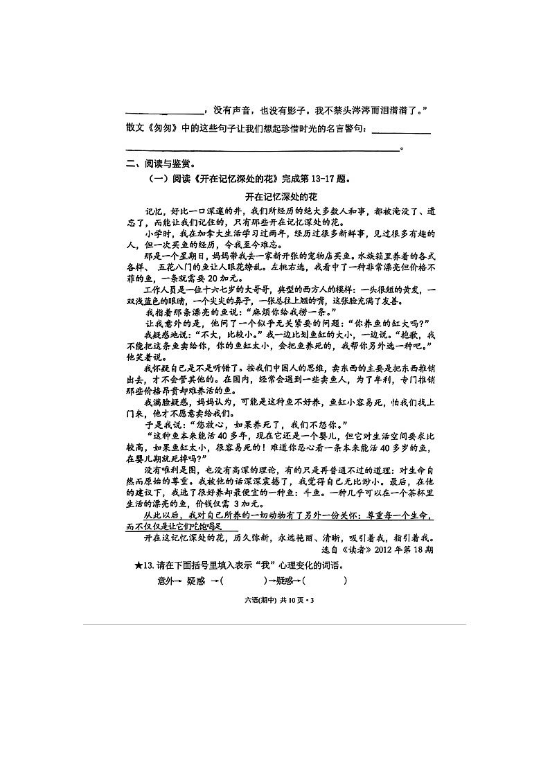 福建省福州市罗源县2023-2024学年六年级下学期期中语文试卷第3页