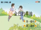 三上语文第五单元《金色的草地》PPT