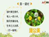 三上语文第五单元《金色的草地》PPT