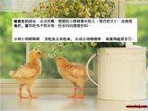 小学二年级下册语文作文课件-描写动物 课件