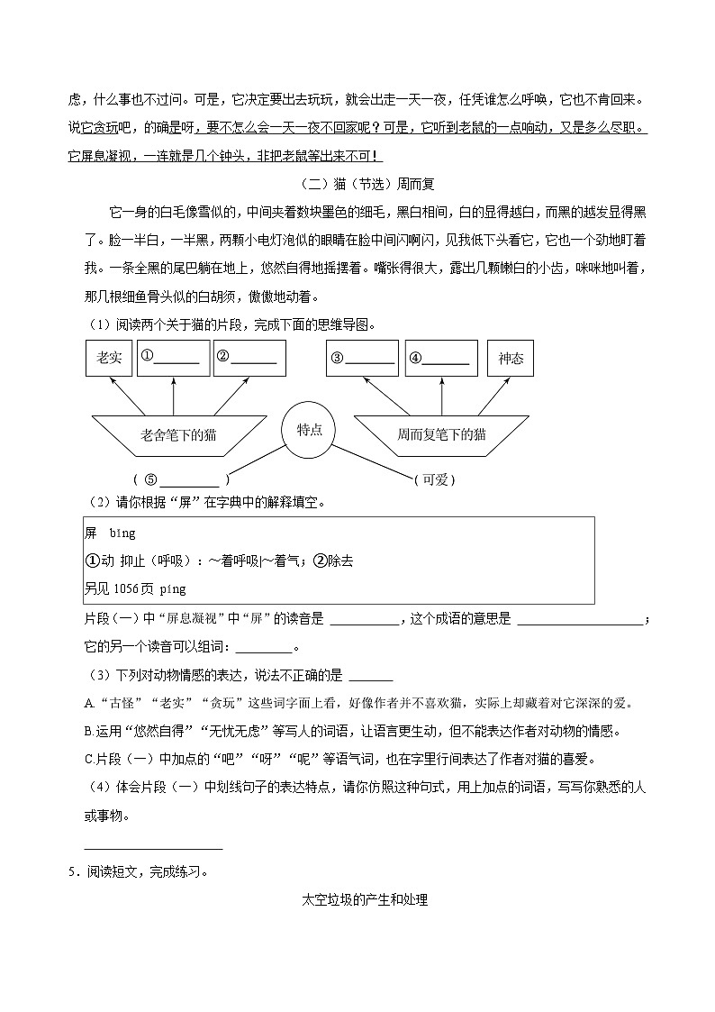 2023-2024学年山东省菏泽市单县多校四年级（下）期中语文试卷第3页
