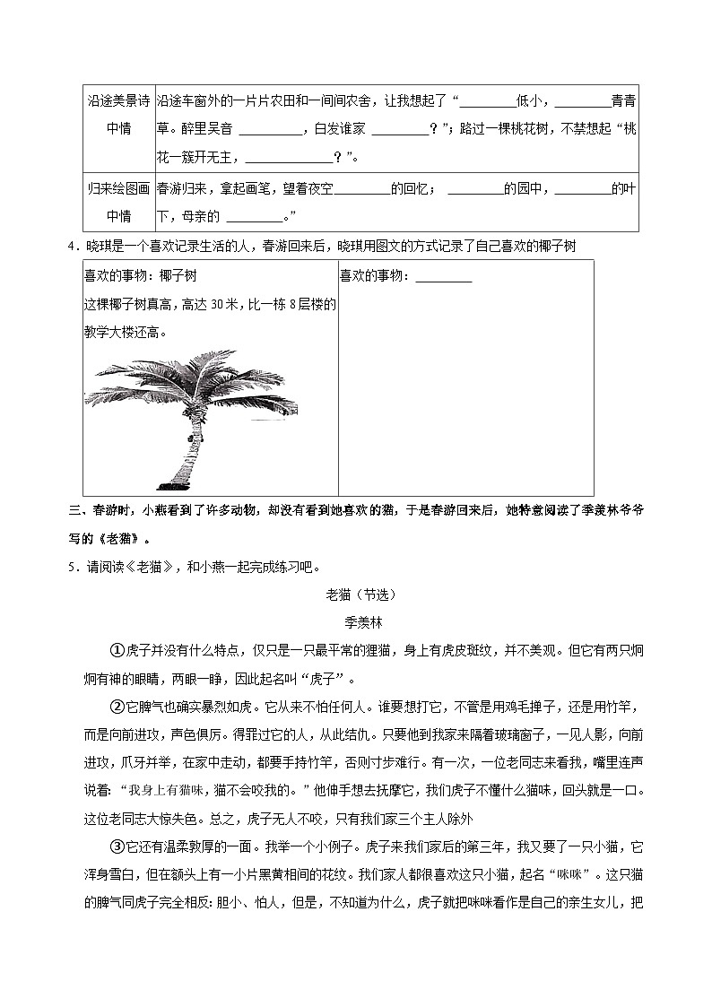 海南省海口市2023-2024学年四年级下学期期中语文试卷02