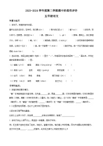 2023-2024学年河北省唐山市丰润区部编版五年级下册期中考试语文试卷（原卷版+解析版）