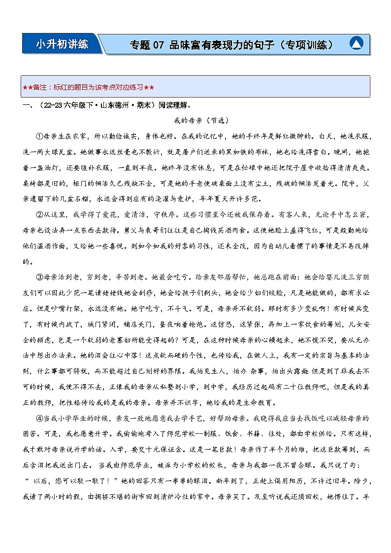 专题07 品味富有表现力的句子（专项训练）-2024年小升初语文复习专练（统编版）01