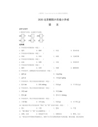 2020北京朝阳六年级小升初语文试卷及答案