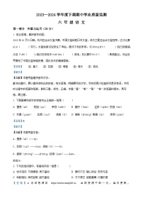 09，2023-2024学年河南省信阳市息县部编版六年级下册期中考试语文试卷