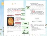 部编版五年级上册第五单元《太阳》课件周双琴