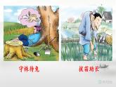 统编版-五年级语文下册第六单元 阅读15 自相矛盾课件