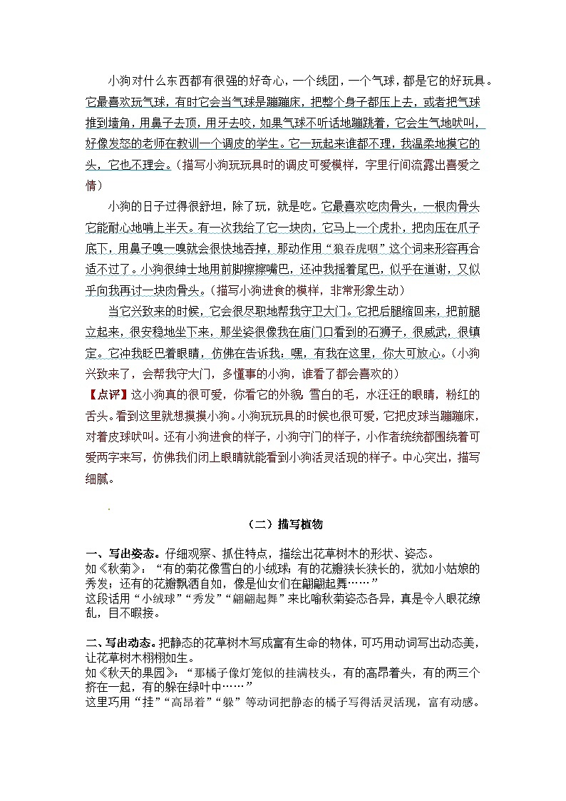 【写作技巧】小学语文小升初作文专题——5.状物类作文（讲义）03