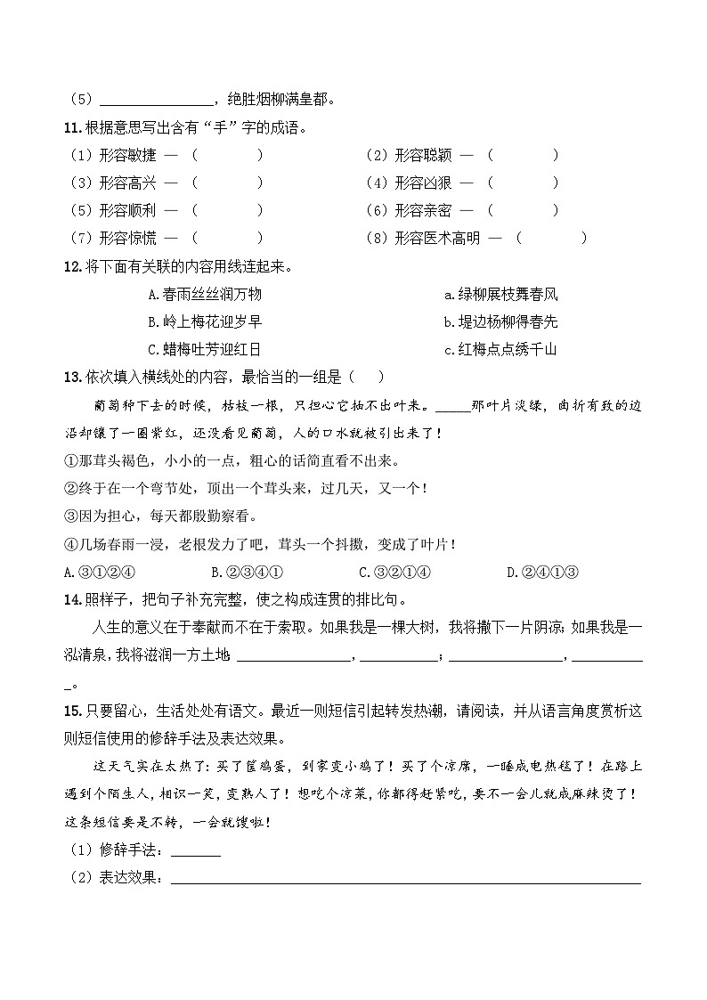 小升初模拟卷（六） 2024年小升初语文冲刺试卷  A4版 学生版第3页
