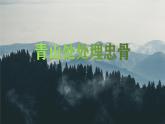 统编版-五年级语文下册第四单元 阅读10《青山处处埋忠骨》教学课件