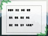 统编版-五年级语文下册第四单元 阅读10《青山处处埋忠骨》教学课件