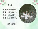 部编-语文-四年级下册第四单元 15 白鹅课件+教学设计