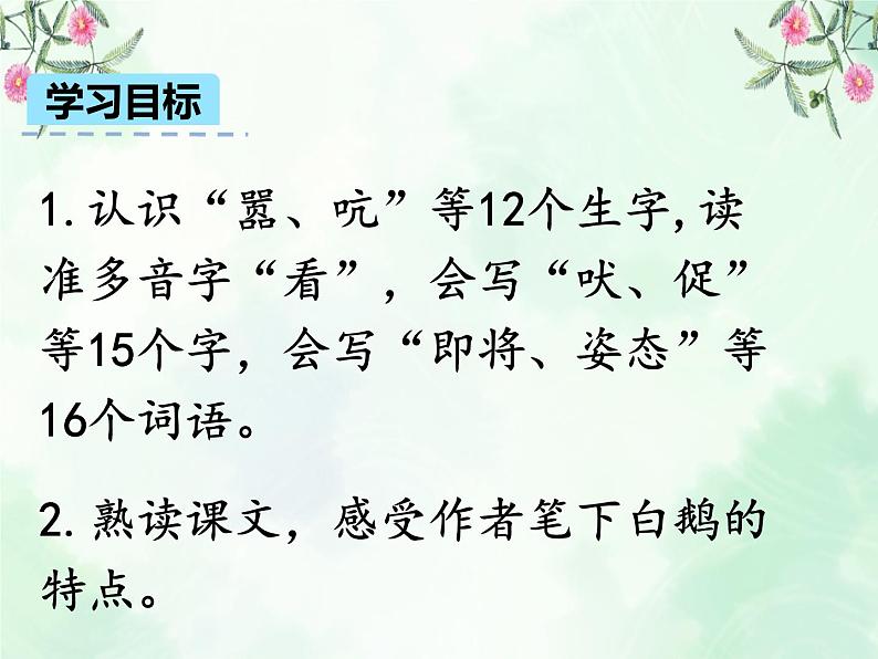 部编-语文-四年级下册-2019年审定 第四单元 15 白鹅课件第5页