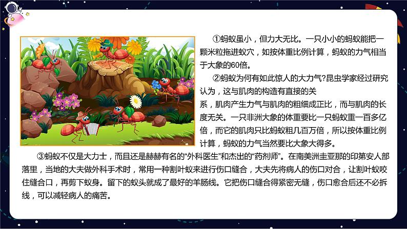 五年级阅读知识点解析：如何分析说明对象特征课件PPT07