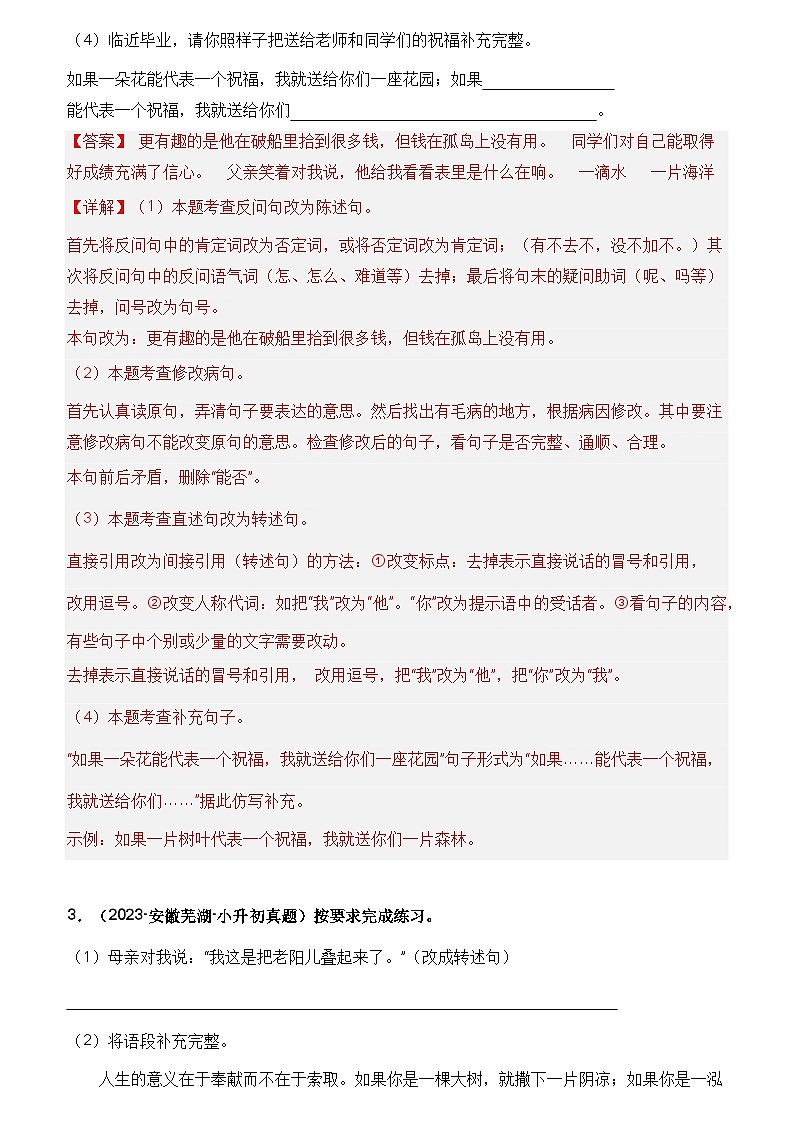 专题06 句子训练2（仿写、改写、扩句、缩句）（解析版）第3页