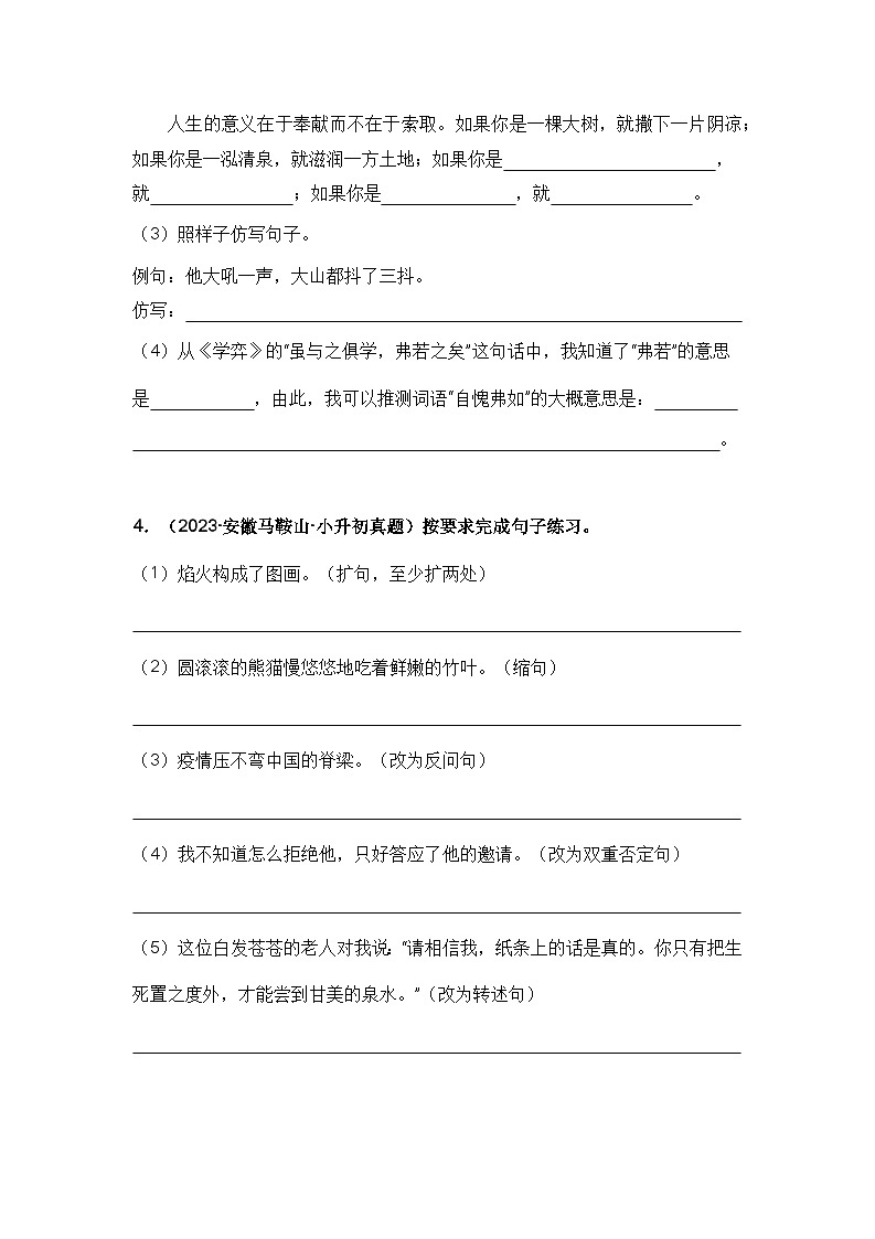 专题06 句子训练2（仿写、改写、扩句、缩句）（原卷版）第3页