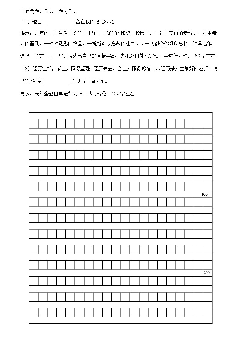 专题12 习作与表达（原卷版）第2页