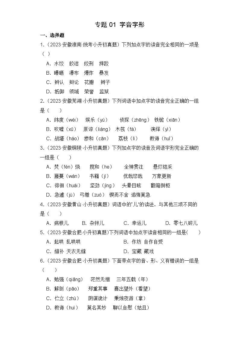 专题01 字音字形（安徽专版）（含答案解析）第1页