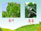 4 田家四季歌（课件）统编版语文二年级上册