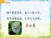 16 金色的草地 课件语文三年级上册统编版