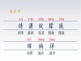 11《白桦》课件语文四年级下册统编版