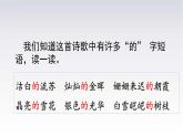 11《白桦》课件语文四年级下册统编版