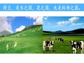 19 牧场之国 课件语文五年级下册统编版