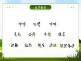 19《牧场之国》课件语文五年级下册统编版