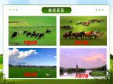 19《牧场之国》课件语文五年级下册统编版