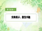 26.宝葫芦的秘密（节选） 第一课时（教学课件）-（统编版）