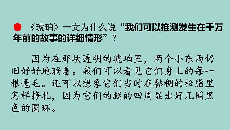期末重点知识复习（课件）统编版语文四年级下册08