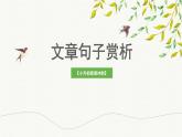 小升初阅读冲刺——赏析句子课件六年级下册语文统编版