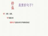 小升初阅读冲刺——赏析句子课件六年级下册语文统编版