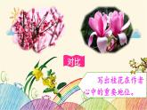统编版语文五年级上册 3 桂花雨（第2课时）课件