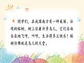 统编版语文五年级上册 23 鸟的天堂（第1课时）课件