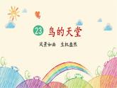 统编版语文五年级上册 23 鸟的天堂（第1课时）课件