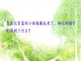 统编版二年级语文下册课文1 2 找春天课件