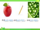 统编版一年级语文下册课文 4 《荷叶圆圆》教学课件