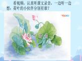 统编版一年级语文下册课文 4 13《荷叶圆圆》课件