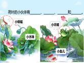 统编版一年级语文下册课文 4 13《荷叶圆圆》课件
