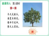 【核心素养】部编版小学语文二上 识字  2 《树之歌》               课件＋教案