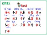 【核心素养】部编版小学语文二上 识字  2 《树之歌》               课件＋教案