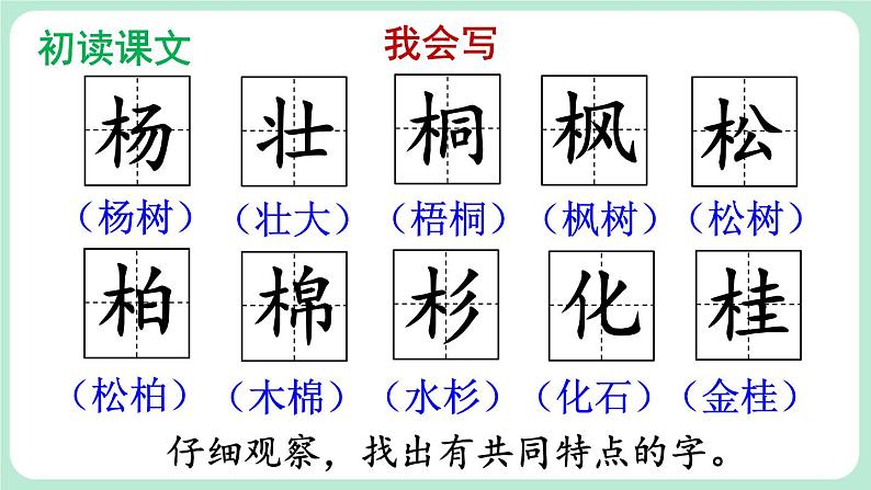 部编版小学语文二上识字2 树之歌 第1课时第8页