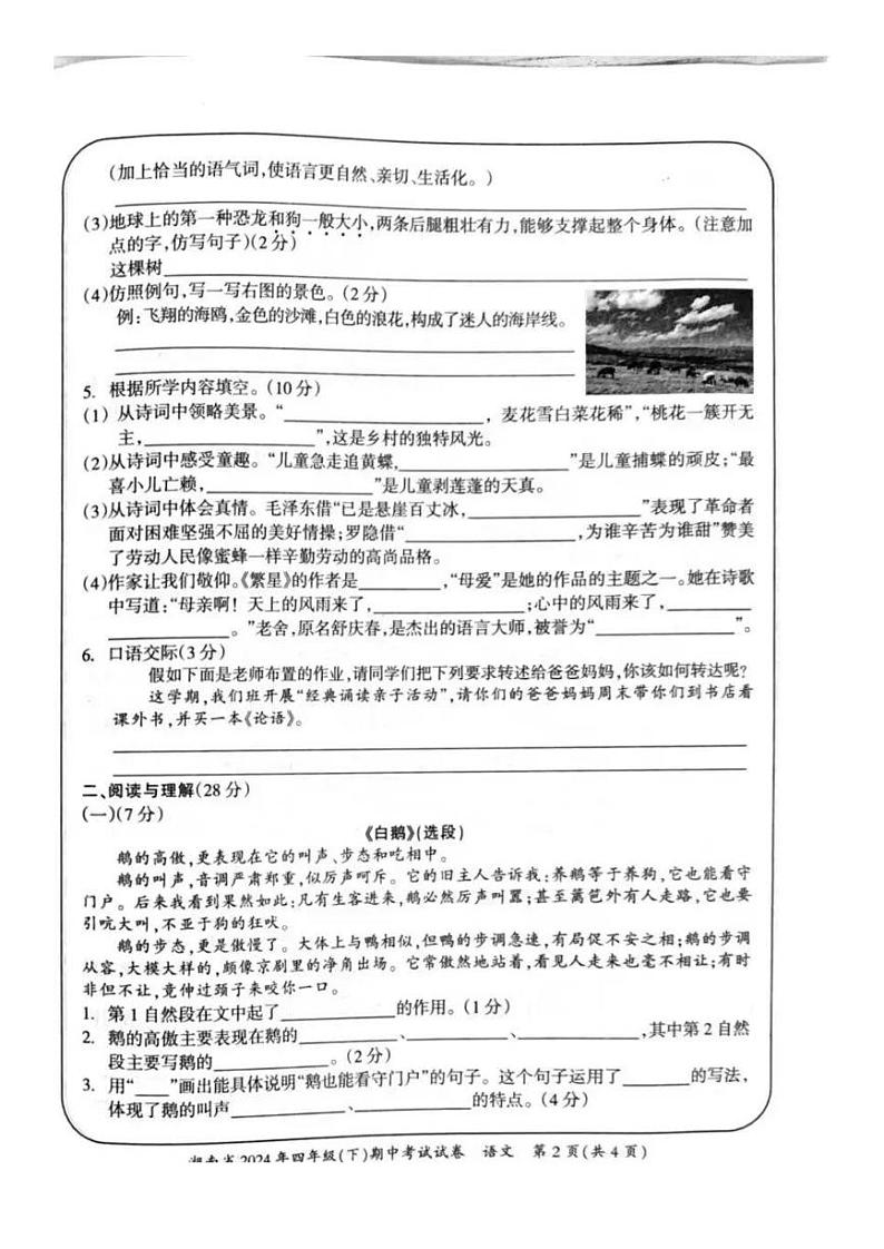 湖南省娄底市2023-2024学年四年级下学期期中语文试题第2页