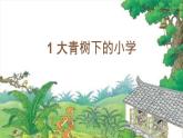1 大青树下的小学课件PPT